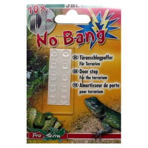 No Bang